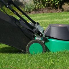Great Technology and Equipment