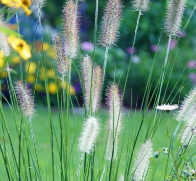 The Landscape Show 2016, London The Landscape Show 2016, London