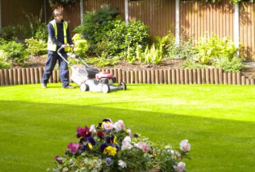 Ground Care